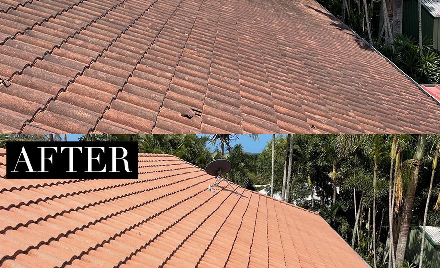 Roof Cleaning & Washing