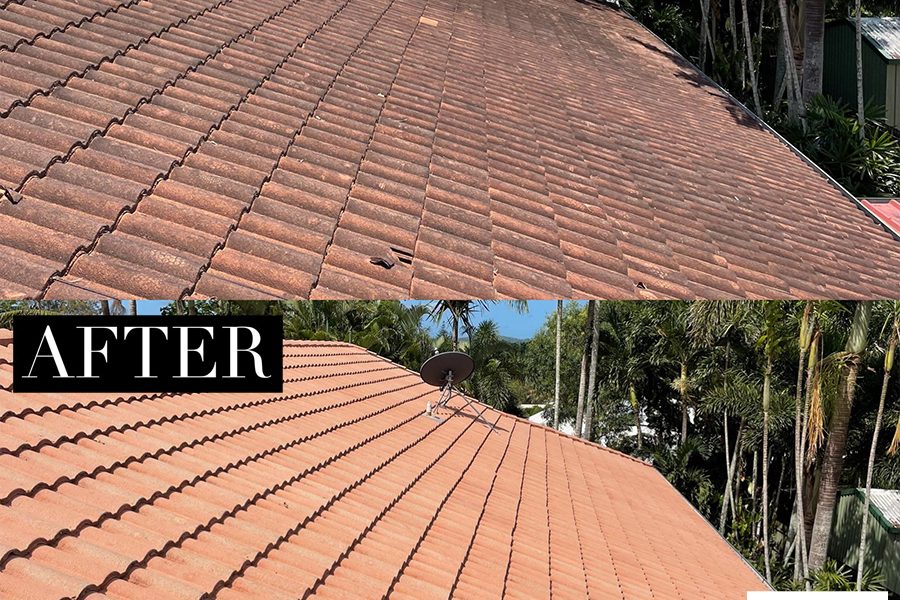 Roof Cleaning & Washing