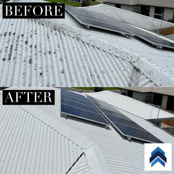 Solar Panel Cleaning & Washing